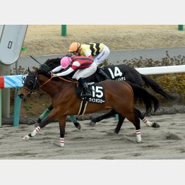 昨春、オープンの千葉S勝ち