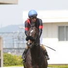 【亀井の土曜競馬コラム・ＷＡＳＪ第２戦】