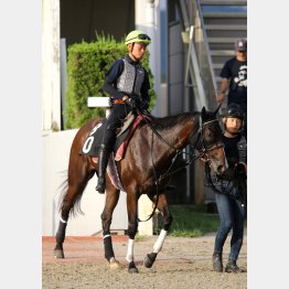 今週も岩田望が騎乗
