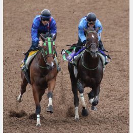 内から半馬身先着した