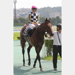 連勝決める