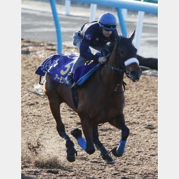極上の瞬発力を見せた