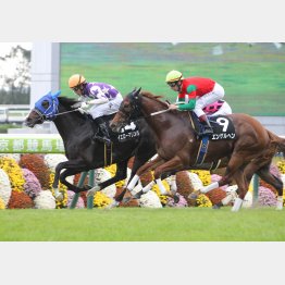 京都の醍醐特別を逃げ切り