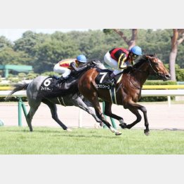 村上特別を完勝