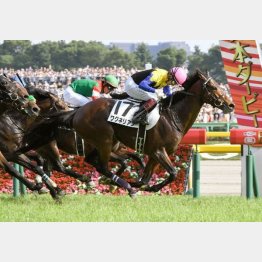 ダービー以来のGⅠ2勝目だ