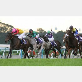 11年はスノーフェアリーが4角10番手から差し切り