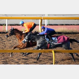 スミヨンが手綱を取って首先着