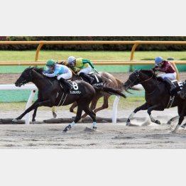 駒場特別を快勝