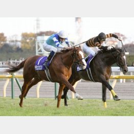 一昨年の勝ち馬シュヴァルグランも参戦