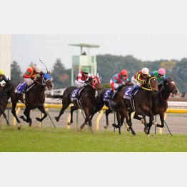 11年はジャガーメイル(左)が大波乱の立役者に