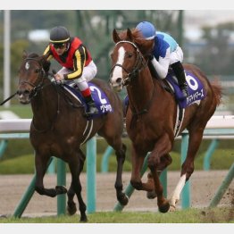 昨年の勝ち馬アドマイヤマーズは日曜に香港でGⅠ勝ち