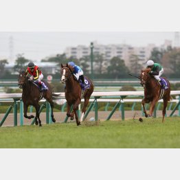 昨年は9番人気のクリノガウディーが②着