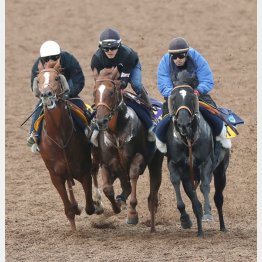 3頭併せで気合を注入したサリオス（中）／