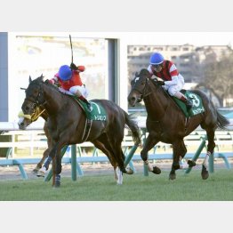 頭差競り勝った