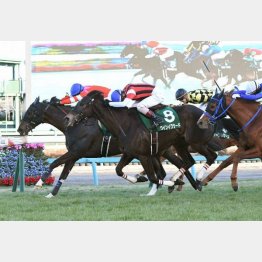 ②着ウインイクシード(松岡騎手)「思った通り、上手に競馬ができたんですけど」