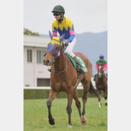 明け5歳の初戦を飾った