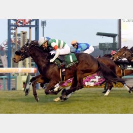 昨年はフィリアプーラが重賞初V