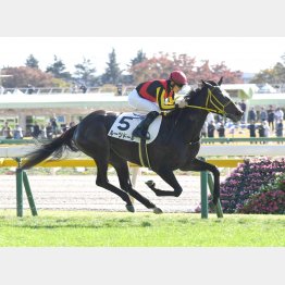 ５馬身差で新馬勝ち