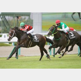 2歳時にききょうS勝ち