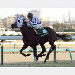 15年は前走⑧着のノットフォーマルが制して波乱に