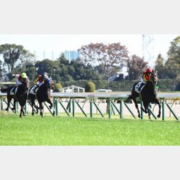 新馬が圧巻の内容