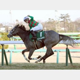 後続に2馬身半差