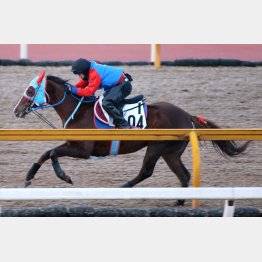 ラストはムチが入って12秒2