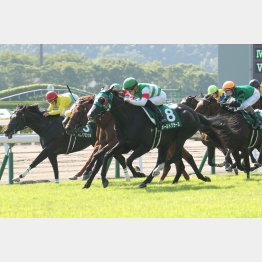 昨夏の小倉記念はトニービンの血を持つ馬が①③着