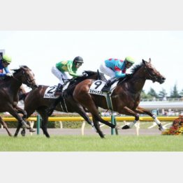 ３走前は重馬場で快勝　馬場が渋っても心配なし