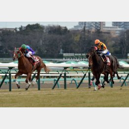 15年はクリールカイザーが勝って３連単16万