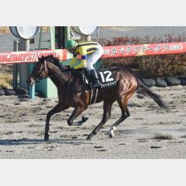 チバテレ杯は３馬身差Ｖ