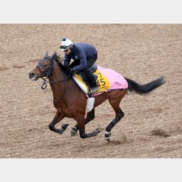 勝ってGⅠ戦線へ