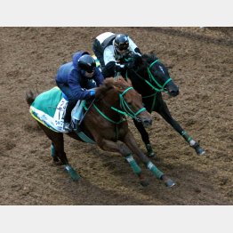 ワイドファラオ(左)は余力十分に併入