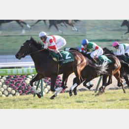 1番人気ダノンスマッシュが勝った昨年も…