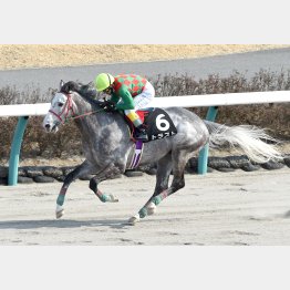 ２走前は完勝だった