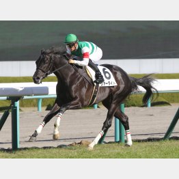 新馬戦は②着に４馬身差