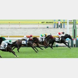 吉田豊を背に初勝利