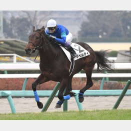 新馬戦は完勝