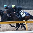【京都記念】別馬のように成長したクロノジェネシスから馬単勝負
