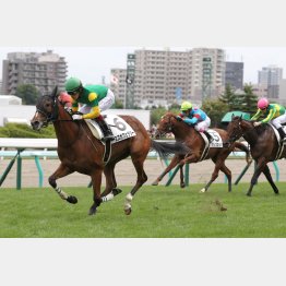 札幌で新馬勝ちも鮮やかな差し切りだった