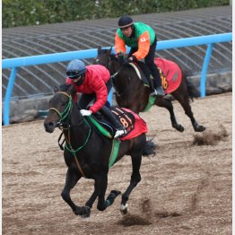 併せ馬で３馬身先着