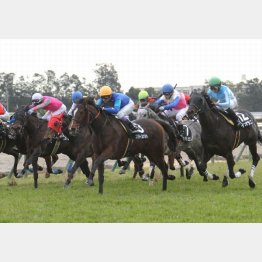 前走は踏み遅れても勝ち馬とはわずか０秒１差