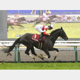 昨年の勝ち馬はダノンプレミアム
