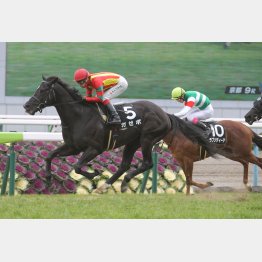 池添とのコンビで祇園特別勝ち