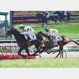 好内容で新馬勝ち