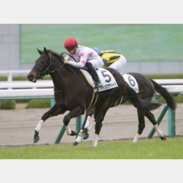 暮れに新馬勝ち