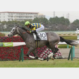 ２走前の阪神が４馬身差の圧勝