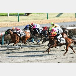 トウカイパシオンの前走は０秒１差④着