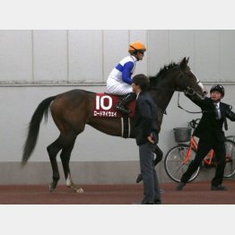 2番人気ロードマイウェイは⑩着