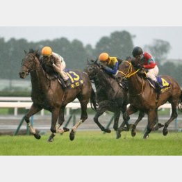 17年に超不良馬場の菊花賞を制したキセキ